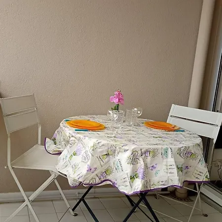 Moderne Avec Climatisation, Balcon Et Parking - Fr-1-696-63